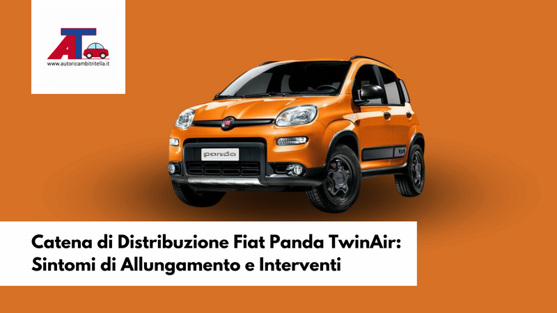 Catena di Distribuzione Fiat Panda TwinAir: Sintomi di Allungamento e Interventi