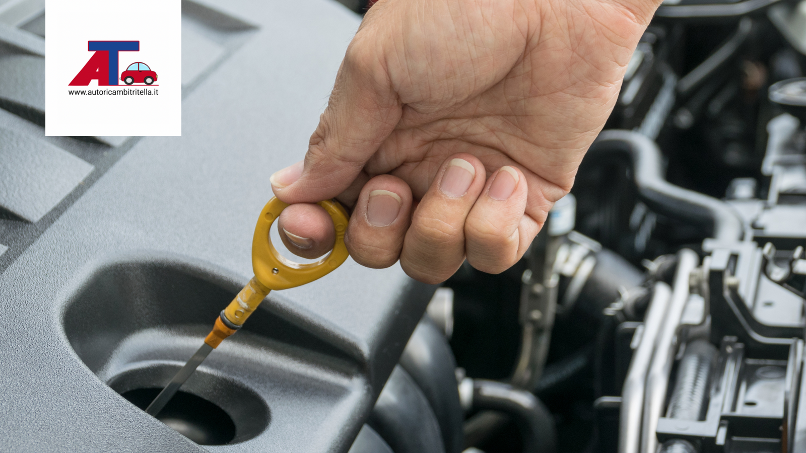 What to Do if the Engine Oil Level is Above the Maximum – Autoricambi ...