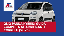 OLIO PANDA HYBRID: GUIDA COMPLETA AI LUBRIFICANTI CORRETTI (2025)