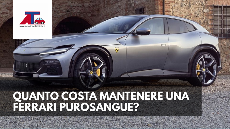 QUANTO COSTA MANTENERE UNA FERRARI PUROSANGUE?