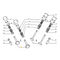 ✅ 60674496 FIAT - VALVOLA DI SCARICO V94591 AE 22061 FEBI