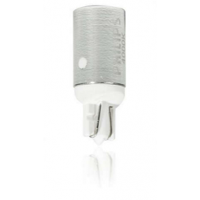 249316000KX2 PHILIPS Lampadina Luce abitacolo