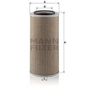 C24650/1 MANN-FILTER Piclon Filtro aria