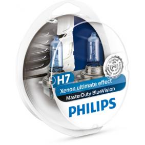 13972MDBVS2 PHILIPS MasterDuty BlueVision Lampadina Faro di profondità