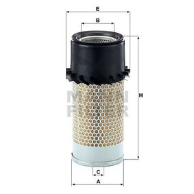 C14179/1 MANN-FILTER Filtro aria