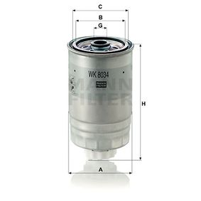 WK8034 MANN-FILTER Filtro carburante